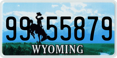 WY license plate 9955879