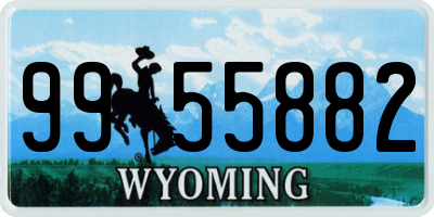 WY license plate 9955882