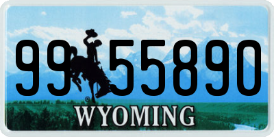 WY license plate 9955890