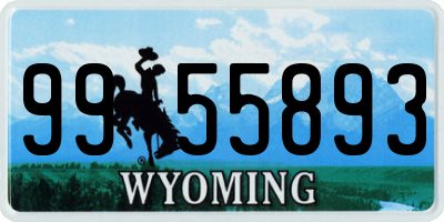 WY license plate 9955893