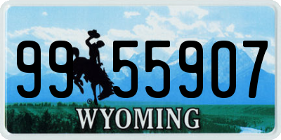 WY license plate 9955907