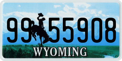 WY license plate 9955908