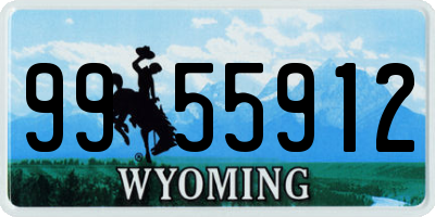 WY license plate 9955912