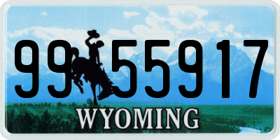 WY license plate 9955917