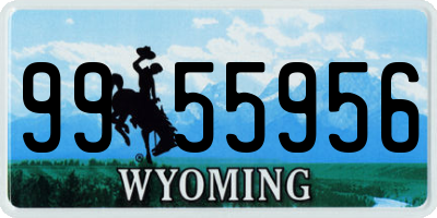 WY license plate 9955956