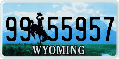 WY license plate 9955957