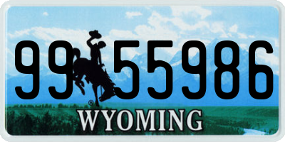 WY license plate 9955986