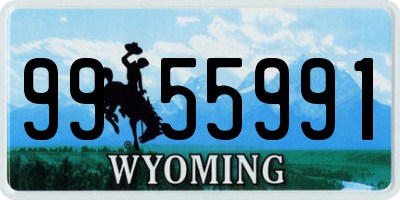WY license plate 9955991