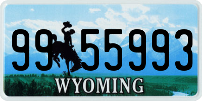 WY license plate 9955993