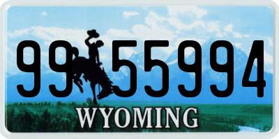 WY license plate 9955994