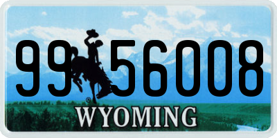 WY license plate 9956008