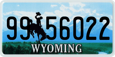 WY license plate 9956022
