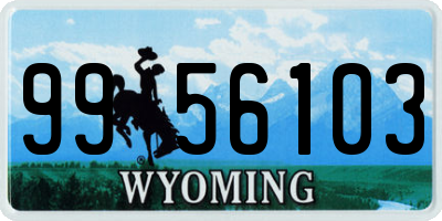 WY license plate 9956103
