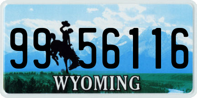 WY license plate 9956116