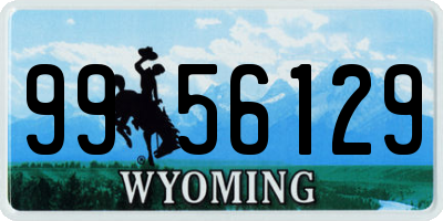 WY license plate 9956129
