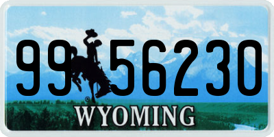 WY license plate 9956230