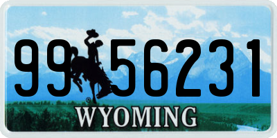 WY license plate 9956231
