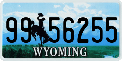 WY license plate 9956255