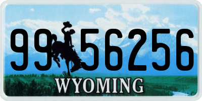 WY license plate 9956256