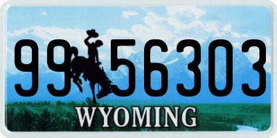 WY license plate 9956303