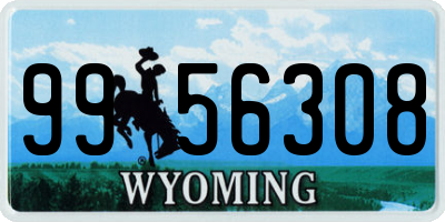WY license plate 9956308