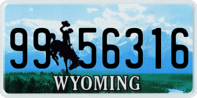 WY license plate 9956316