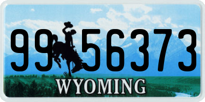 WY license plate 9956373