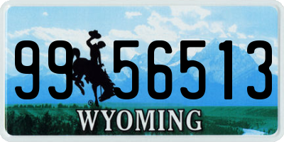 WY license plate 9956513