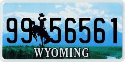 WY license plate 9956561