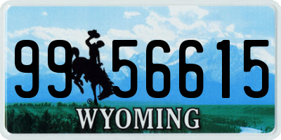 WY license plate 9956615
