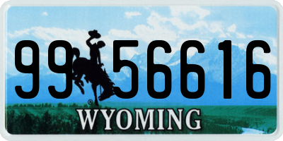 WY license plate 9956616