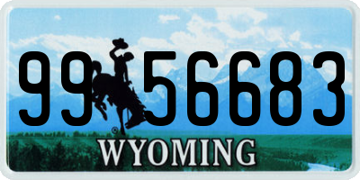 WY license plate 9956683