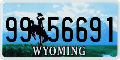 WY license plate 9956691