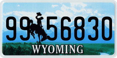 WY license plate 9956830
