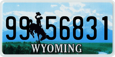 WY license plate 9956831