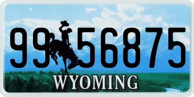 WY license plate 9956875