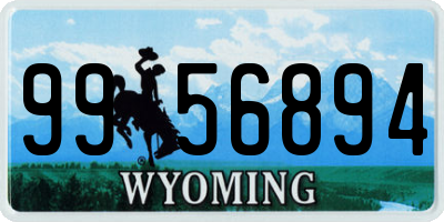 WY license plate 9956894