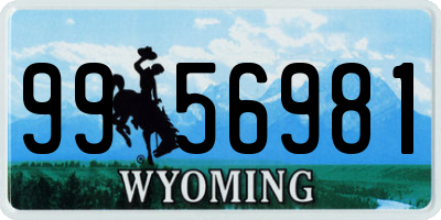 WY license plate 9956981