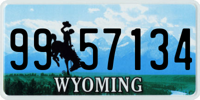 WY license plate 9957134