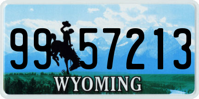 WY license plate 9957213