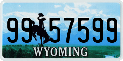 WY license plate 9957599