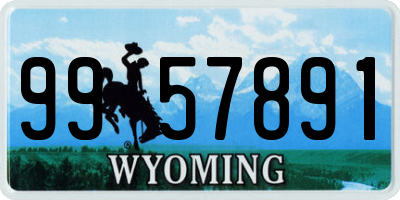 WY license plate 9957891