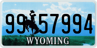WY license plate 9957994