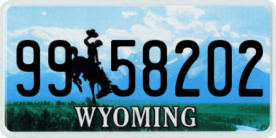WY license plate 9958202
