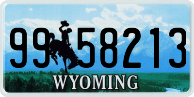 WY license plate 9958213