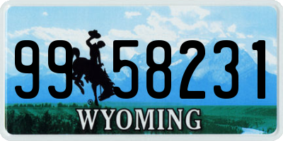 WY license plate 9958231