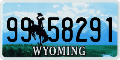 WY license plate 9958291