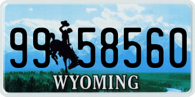 WY license plate 9958560