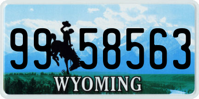 WY license plate 9958563