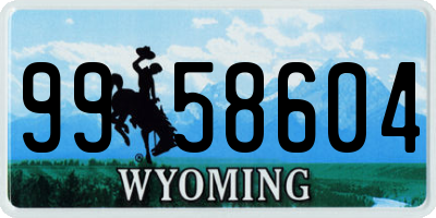 WY license plate 9958604